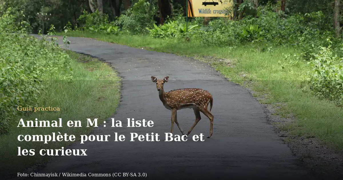 Animal en M : la liste complète pour le Petit Bac et les curieux
