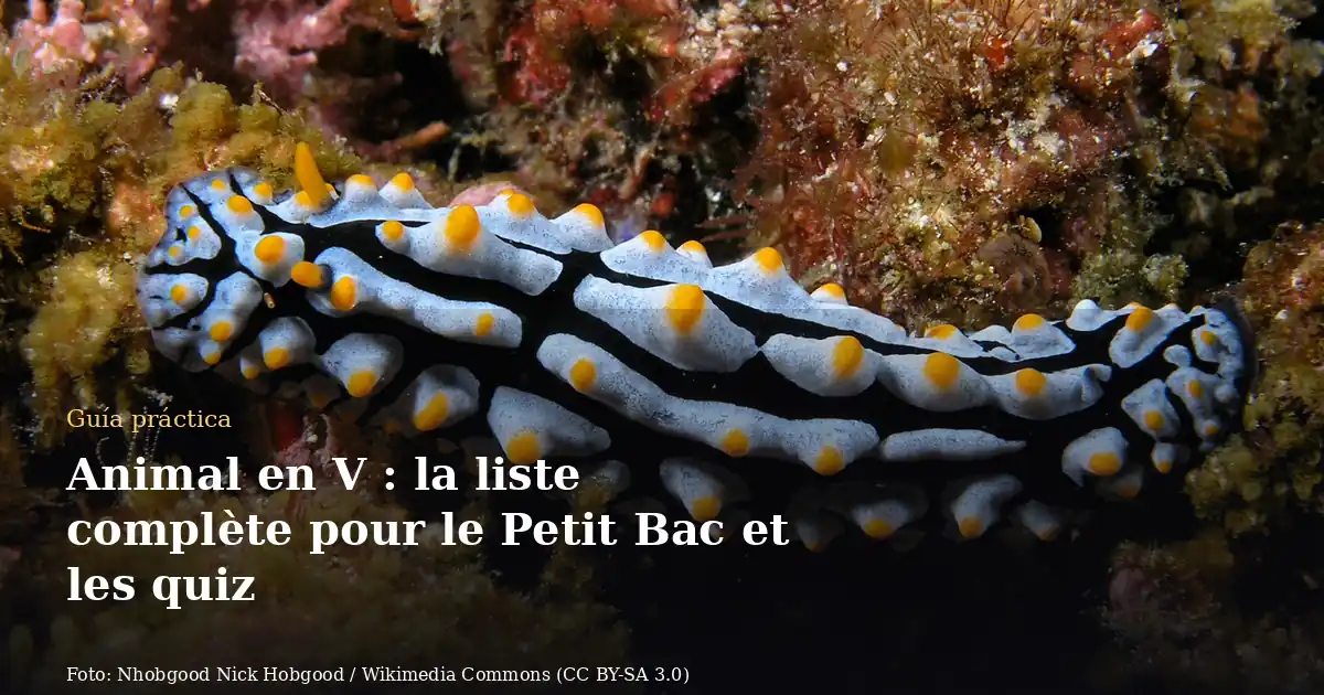 Animal en V : la liste complète pour le Petit Bac et les quiz