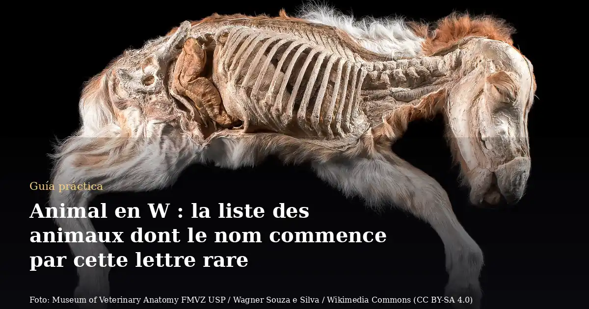 Animal en W : la liste des animaux dont le nom commence par cette lettre rare