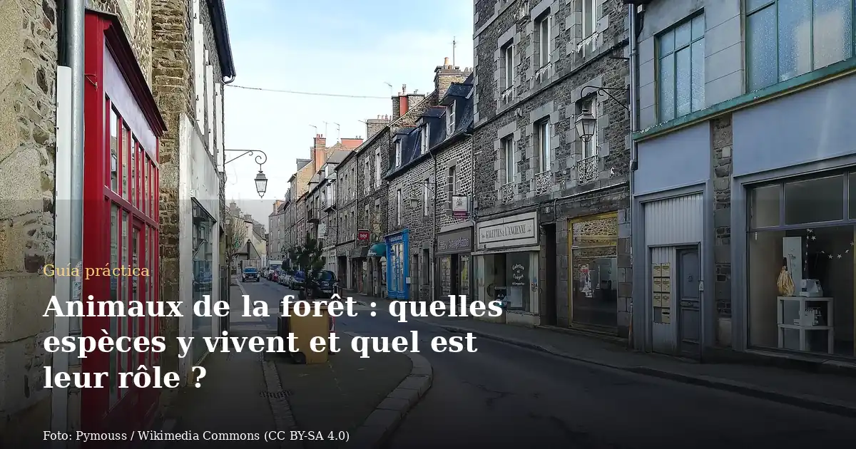 Animaux de la forêt : quelles espèces y vivent et quel est leur rôle ?