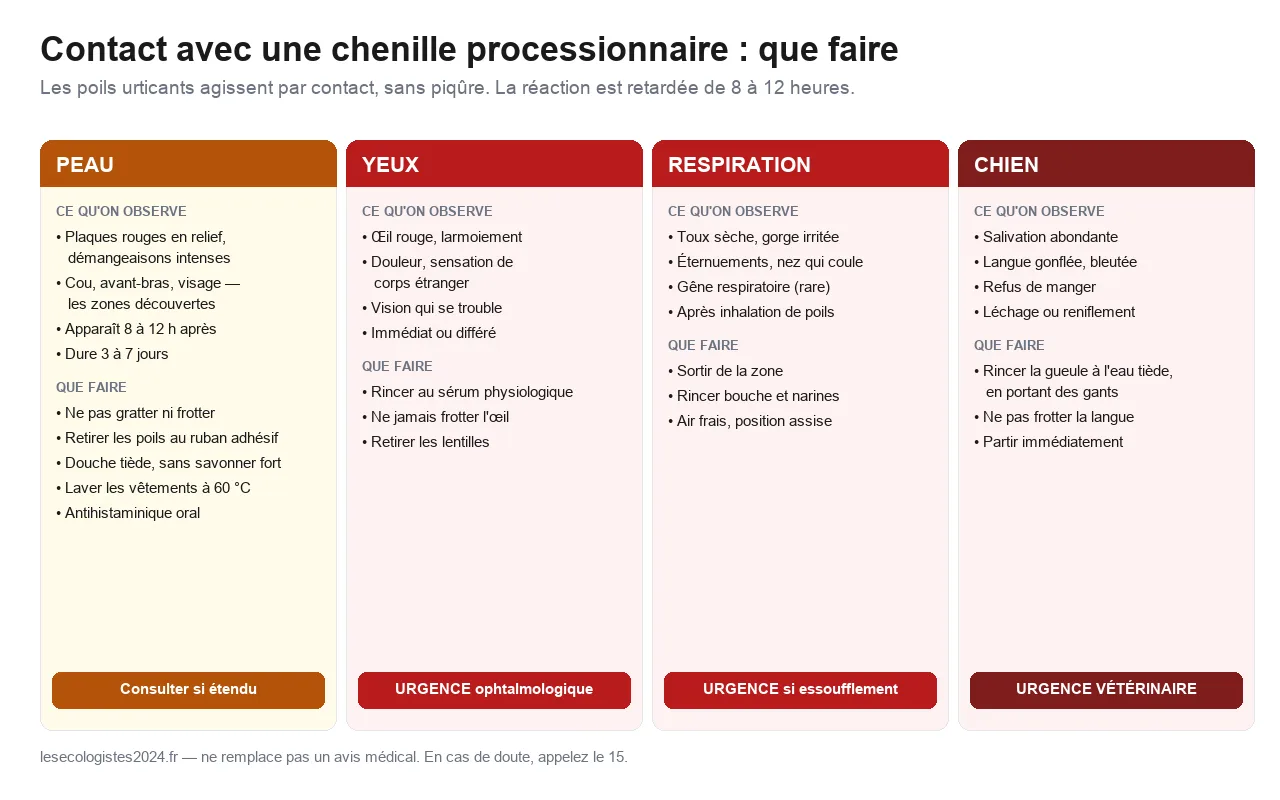 Tableau des conduites à tenir selon la zone touchée : peau, yeux, respiration, chien