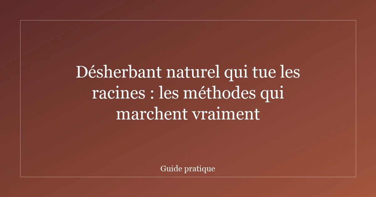 Désherbant naturel qui tue les racines : les méthodes qui marchent vraiment