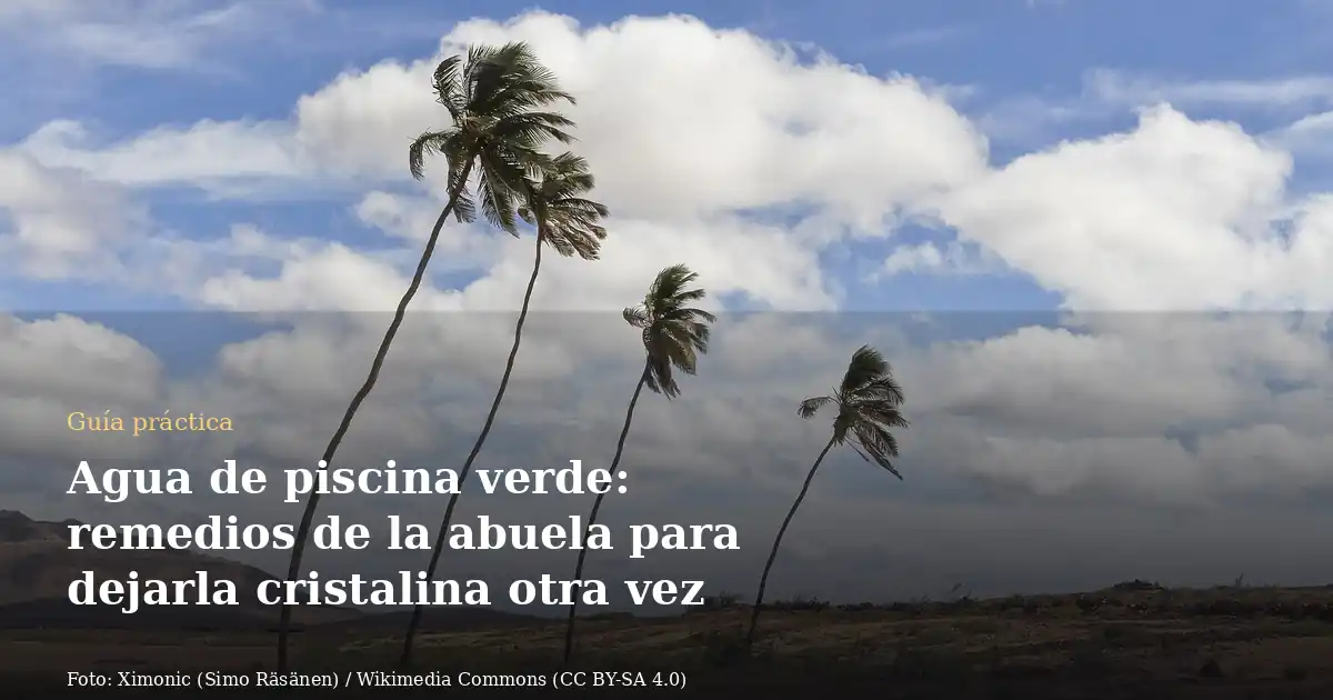 Agua de piscina verde: remedios de la abuela para dejarla cristalina otra vez