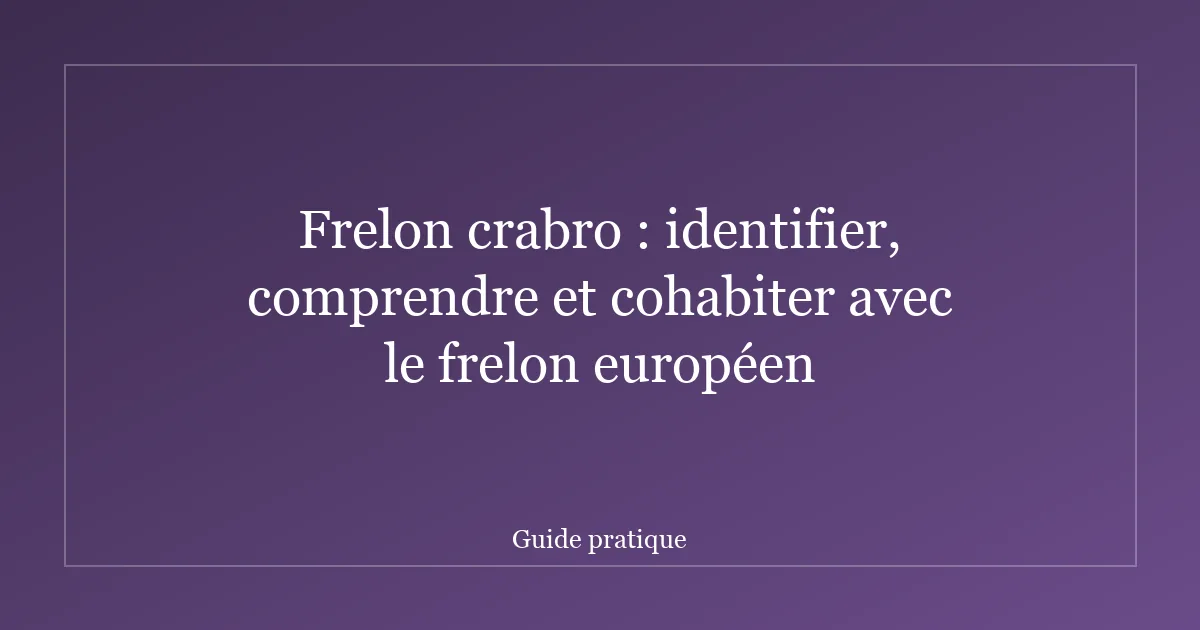 Frelon crabro : identifier, comprendre et cohabiter avec le frelon européen