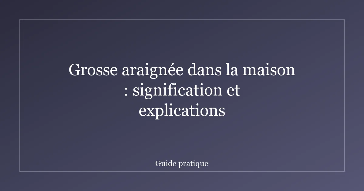 Grosse araignée dans la maison : signification et explications