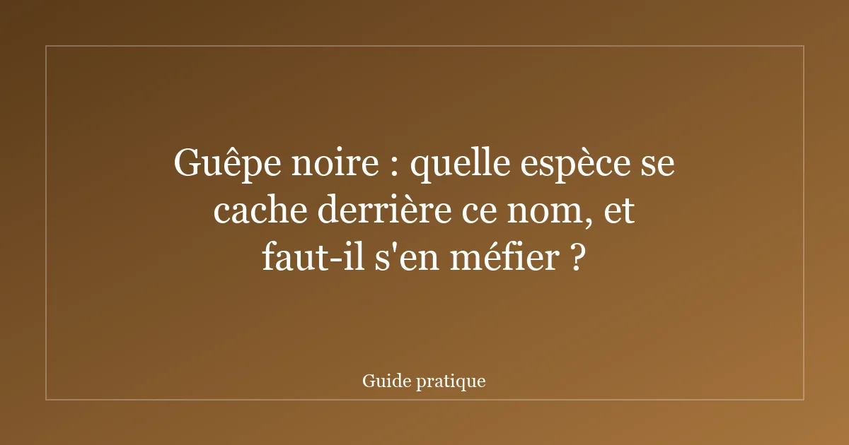 Guêpe noire : quelle espèce se cache derrière ce nom, et faut-il s'en méfier ?