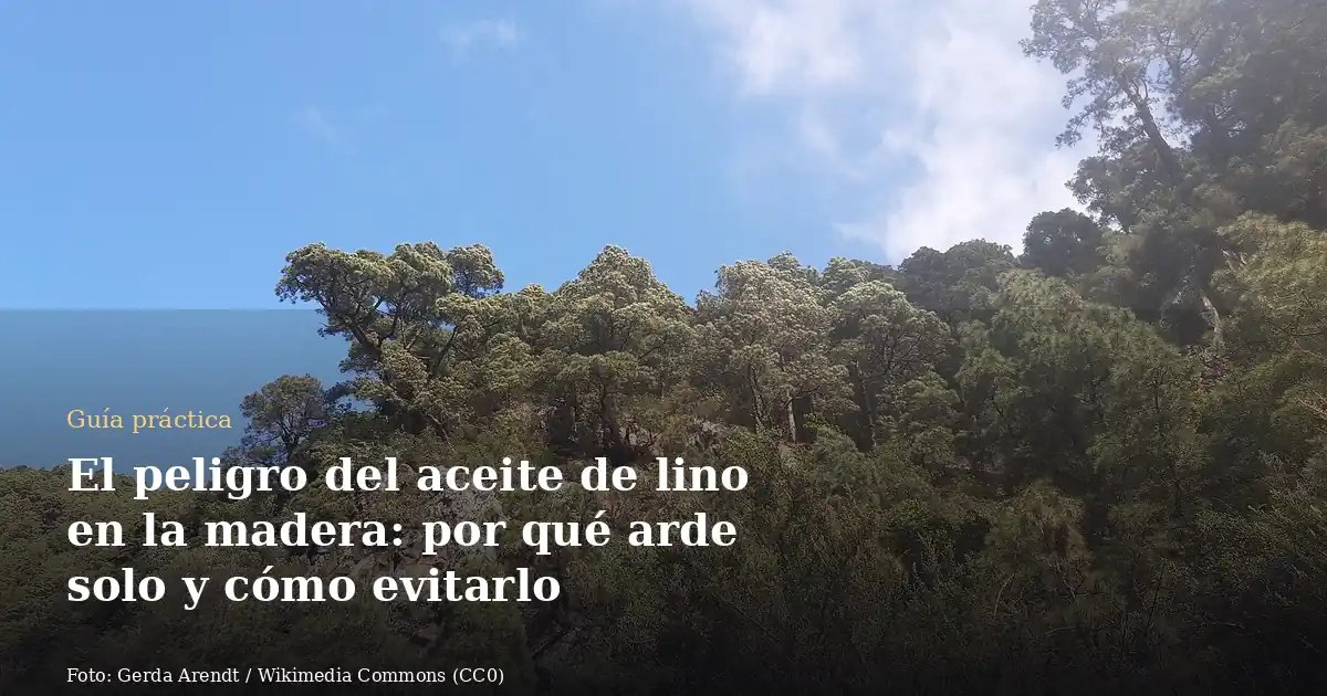 El peligro del aceite de lino en la madera: por qué arde solo y cómo evitarlo