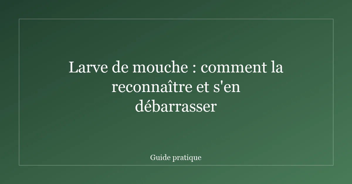 Larve de mouche : comment la reconnaître et s'en débarrasser