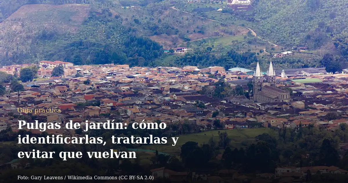 Pulgas de jardín: cómo identificarlas, tratarlas y evitar que vuelvan