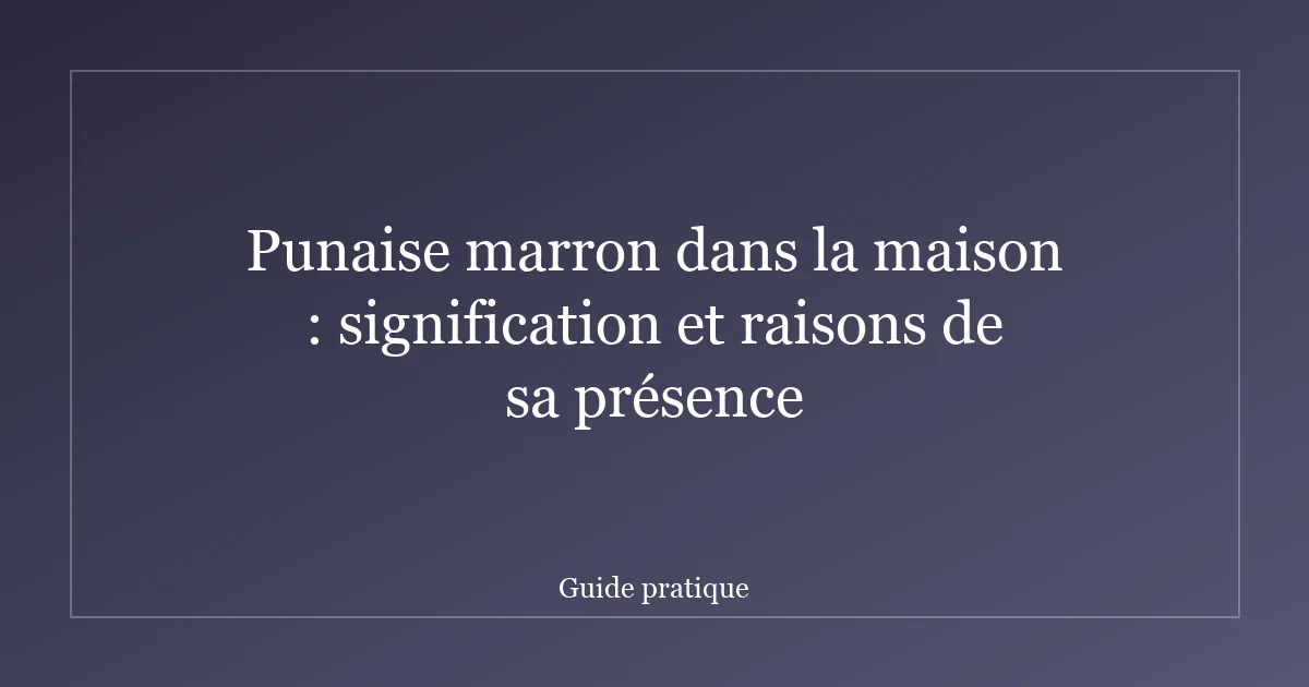 Punaise marron dans la maison : signification et raisons de sa présence