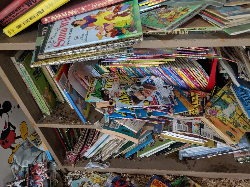 Rangement de livres et de cartons souillés par des crottes de rongeurs
