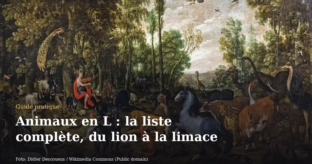 Animaux en L : la liste complète, du lion à la limace