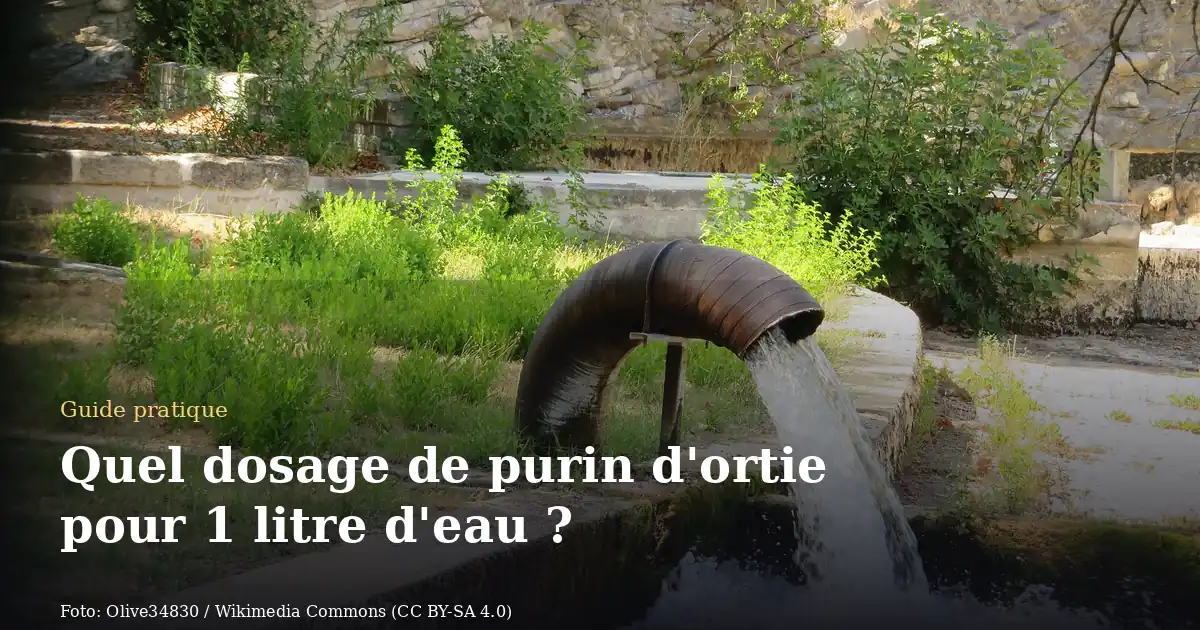 Quel dosage de purin d'ortie pour 1 litre d'eau ?