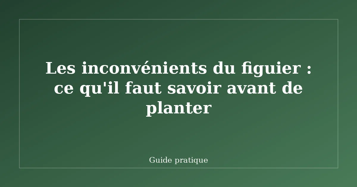 Les inconvénients du figuier : ce qu'il faut savoir avant de planter
