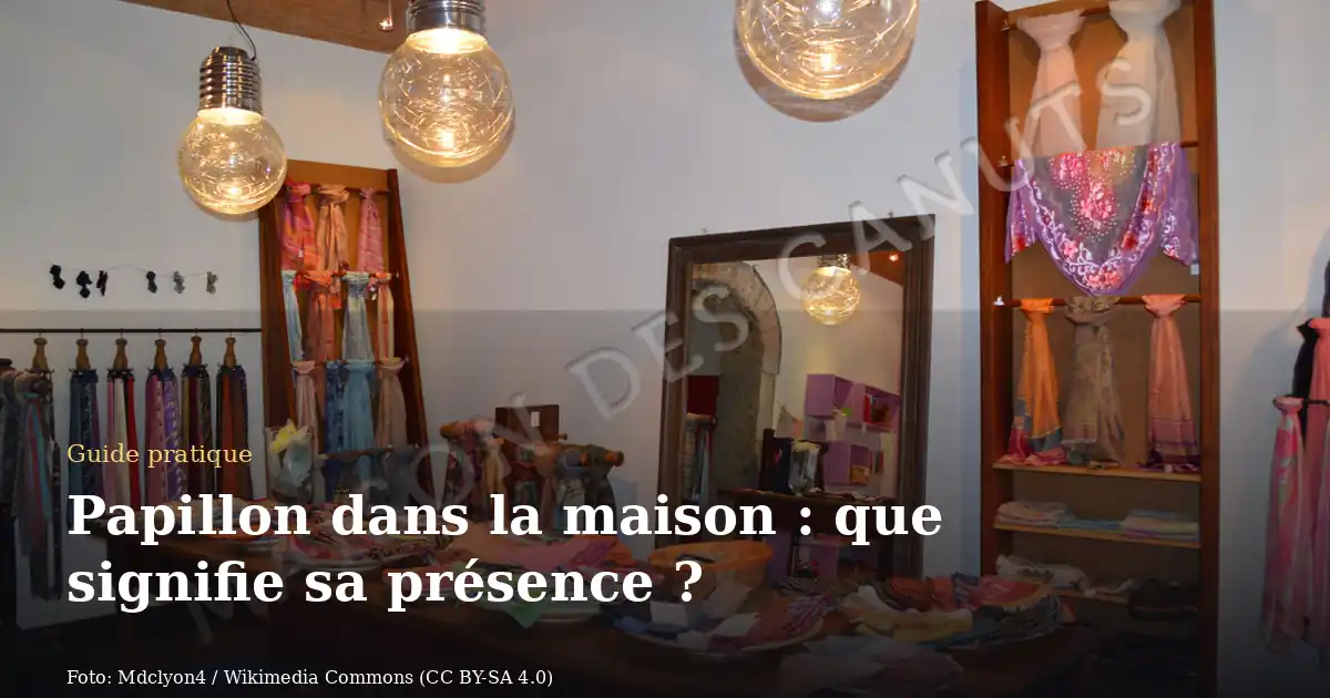 Papillon dans la maison : que signifie sa présence ?