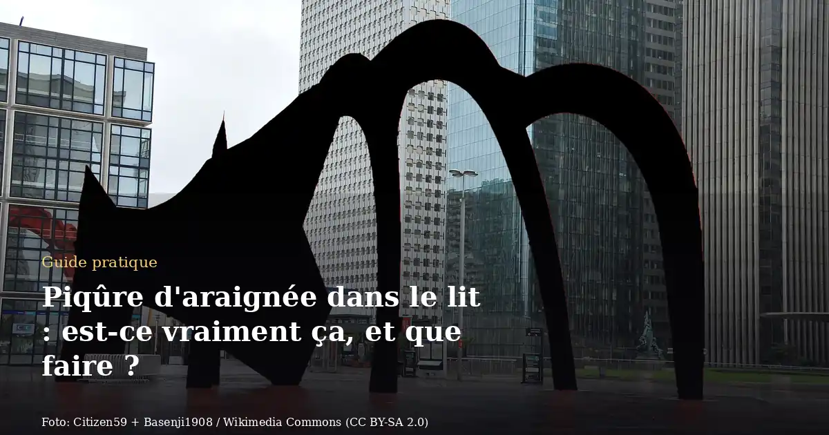 Piqûre d'araignée dans le lit : est-ce vraiment ça, et que faire ?