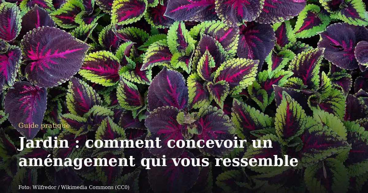Jardin : comment concevoir un aménagement qui vous ressemble