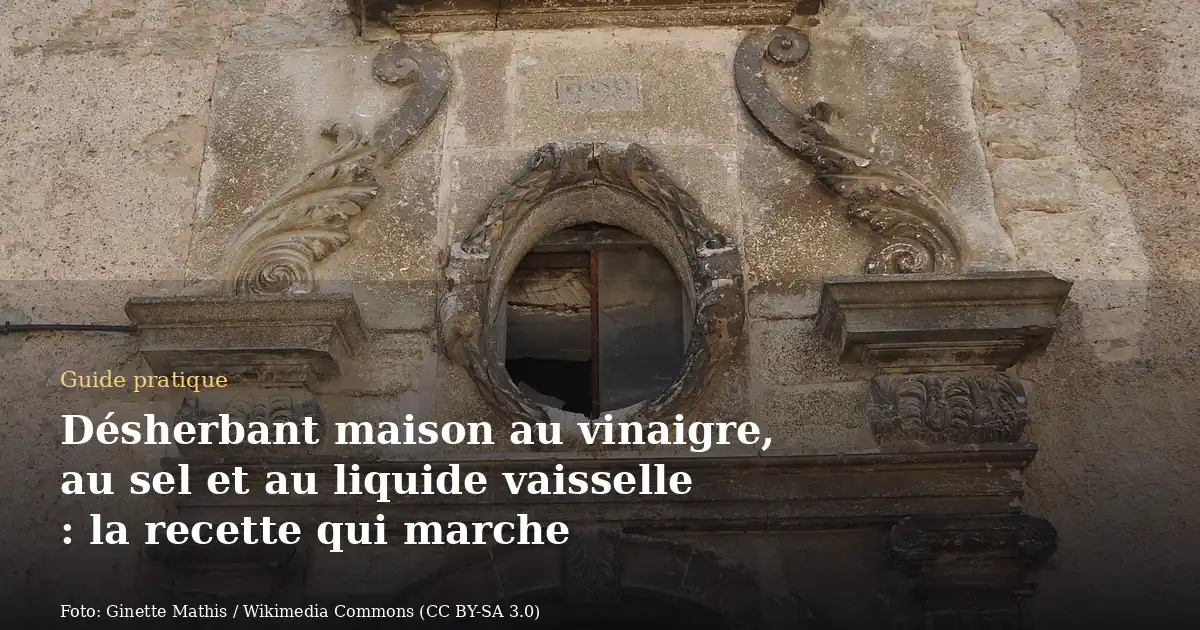 Désherbant maison au vinaigre, au sel et au liquide vaisselle : la recette qui marche